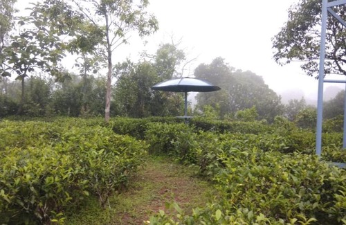 Vagamon Chalet De Esquí | Thanal Farm Stay Vagamon