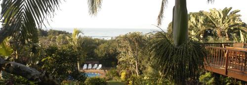 Blythedale Casa | Thatch by the Sea