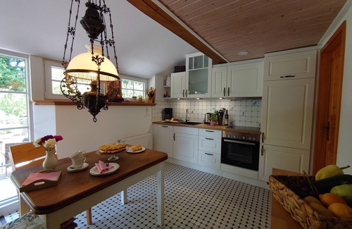 Ihlow Apartamento | Thatched roof vacation apartment De Leev - Country house Lübbertsfehn in the middle of East Frisia