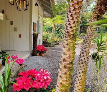 Volcano Casa | The Alala at Stained Glass Cottages