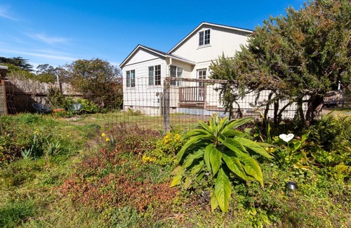 Albion Casa | The Albion Haus
