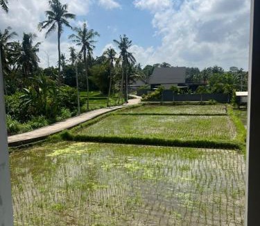 Mas Villa | The Amani