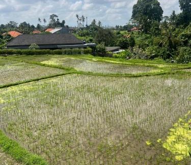 Mas Villa | The Amani