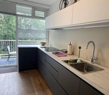 Amsterdam South Apartamento | The Amsterdam - South Apartment