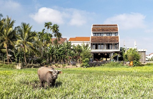 Cam Thanh Villa | The An Retreat 7BRs w/ Pool & Rice Field