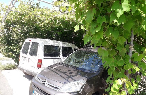 Rab Apartamento | The Apartment is on the Ground Floor - 1 Entire Floor 110 m2