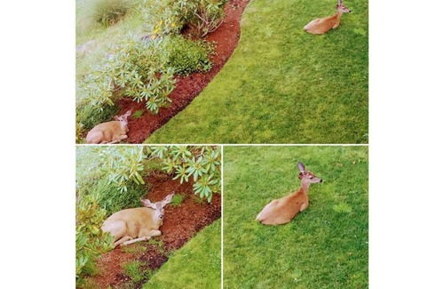 Central Oregon Apartamento | The Apartment Suite at City Nature Preserve