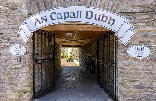 Dingle Apartamento | The Arch An Capall Dubh Dingle
