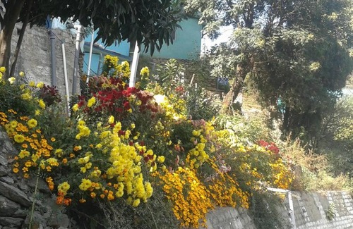 Kotgarh Apartamento | The Atmosphere