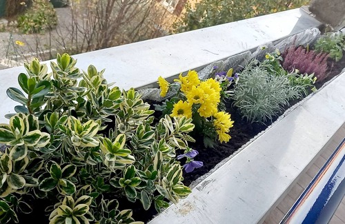 Bustecche Apartamento | The attic with the vegetable garden