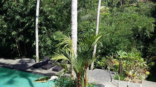 Kutuh Kaja Complejo | The Bali Shanti