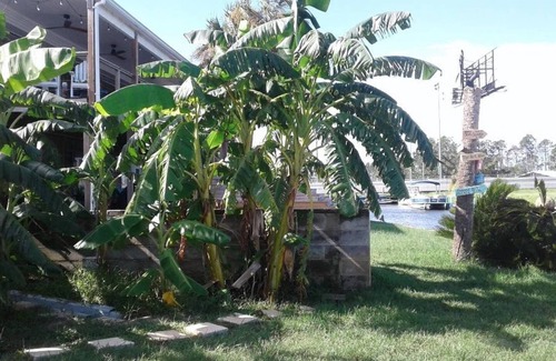 Pretty Bayou Casa | El plátano, una escapada pacífica