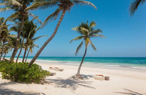 Zona Hotelera Hotel | The Beach Tulum Hotel