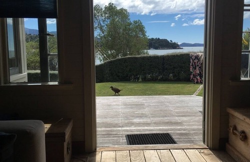 Ngaio Bay Cabaña | La playa de Bach de Kaiteriteri