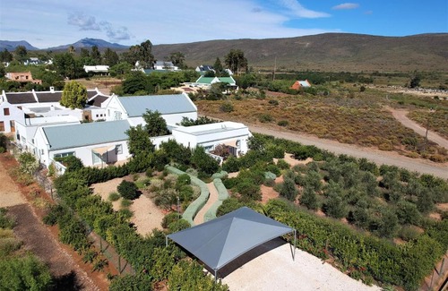 McGregor Casa | The Bean Tree