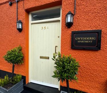 Llandovery Apartamento | The Bear Apartments