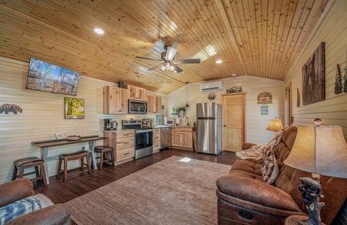 Fort Payne Cabina | The Bear Necessities Cabin | On Brow | Hot Tub | WiFi | Fire Pit | Dog Friendly