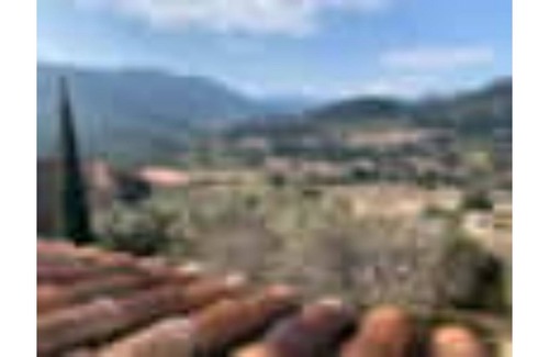 Ballestar Cabaña | El Bellestar , Casa Rural