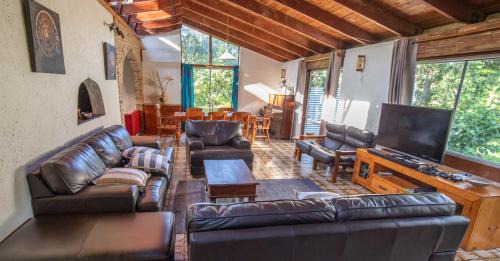 One Mile Casa | The Bird House