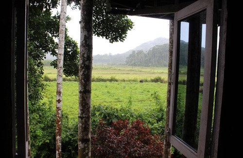 Virarajendrapet Casa | The Bliss Coorg