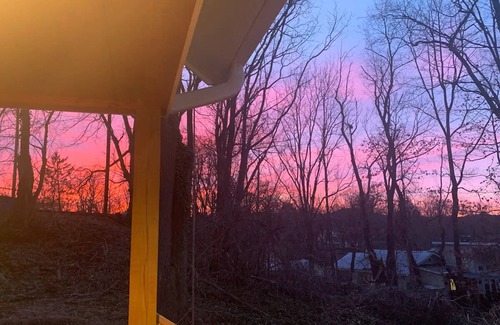 Westwood Place Cabina | The Bluebird- A Cute, Cozy Tiny House, 5 mins to Downtown Asheville