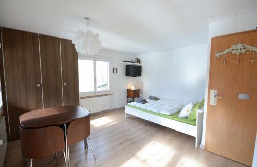 Goldswil Apartamento | The Boat House