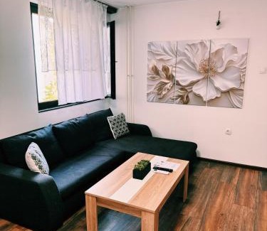 Zrenjanin Apartamento | The Boulevard Buzz