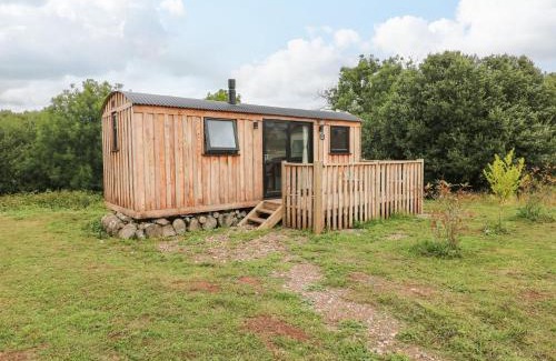 Cosheston Casa | The Bumblebee