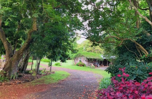 Rosebank Casa | The Bunkhouse- Byron Hinterland retreat
