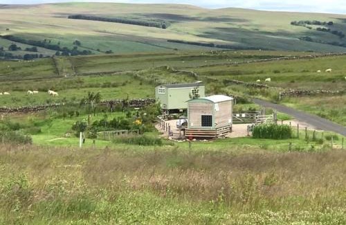 Hallington Casa | The Buteland Stop Rosie off grid Shepherds Hut