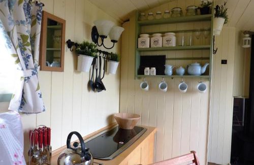 Hallington Casa | The Buteland Stop Rosie off grid Shepherds Hut