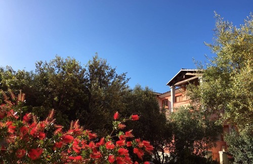 Monte Petrosu Casa | The butterfly