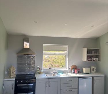 Downings Apartamento | The cabin