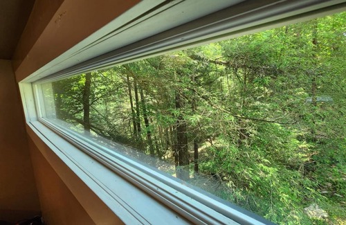 Coalmont Casa | The Cabins at Ranger Creek 2
