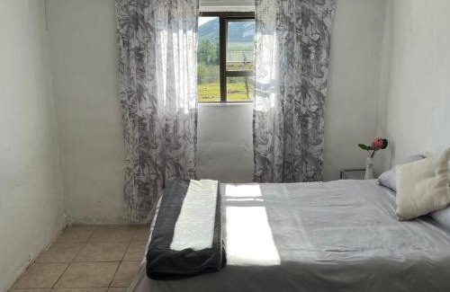 Nkonkobe Apartamento | The Calvert