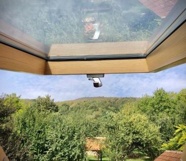 Dobrita Casa | The Carpathian Lodge