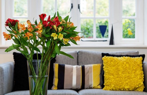 Golders Green Casa | The Chromatic Collection, by Veeve