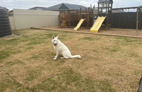 Moonta Bay Casa | The Coastal Crab, Moonta Bay. Family & Pet friendly holiday accommodation