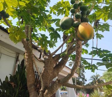 Sekondi-Takoradi Casa | The Cool Villa Guest House