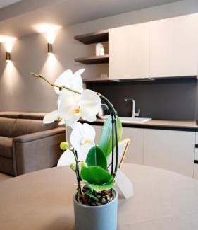 Citta Bassa Apartamento | The Corner Bergamo Elegant Apartments