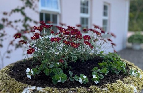 Enniskillen Casa | The Cottage at Riverbank