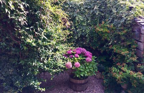 Belford Apartamento | The Cottage