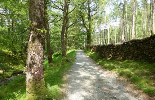Borrowdale Cabaña | Cabaña situada en el corazón del hermoso valle de Borrowdale