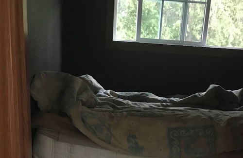 Huron-Kinloss Casa | The Cottage is pet friendly
