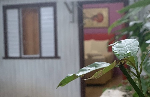 Jack's Hill Cabaña | The Cottage
