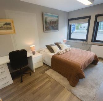 Skoyen Casa | The Cozy Oslo Stay