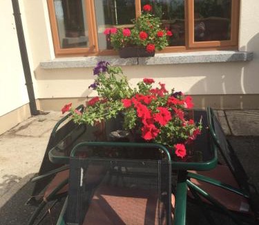 Ballywilliam Cama Y Desayuno | The Crossroads B&B