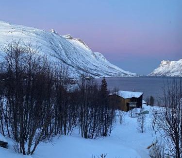 Ersfjordbotn Casa | The Crush