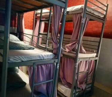 Jordan Casa | The Cultural Crashpad - 康乃馨旅館