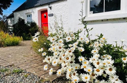 Goodwick Casa | The Dairy @ Trefechan Wen